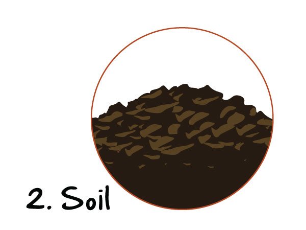 The Discipling Tree Series: Where Disciples Grow Best